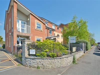 Picture 16
